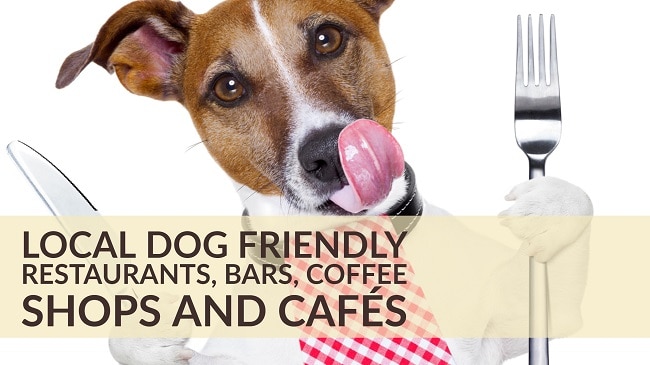 Local Dog Friendly Restaurants, Bars, Coffee Shops and Cafés - This is